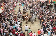 Segorbe arranca sus fiestas con una espectacular Entrada de Toros y Caballos de 49 segundos