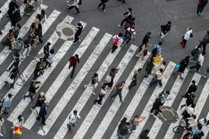 Markets mainly rise on US rate cut hopes