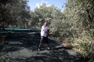Soccer-Olive oil with a kick seeks to energise Cypriot players