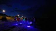 Finding happiness in amber: On Germany's Baltic coast, people go hunting for the precious pieces
