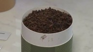 NJ now allows ‘human composting' after death. This woman says it changed everything
