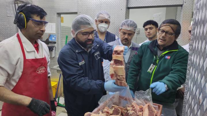 Realizan fiscalización conjunta a Ley de Carnes para garantizar su consumo en Fiestas Patrias de forma segura