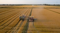 The floods kept coming. He needed to grow a crop that would thrive in water
