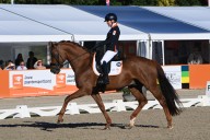 Rixt van der Horst wins gold at European Para Dressage Championships