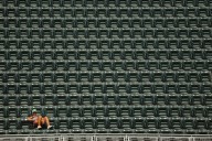 Twins full-season attendance drops to lowest it has been in decades