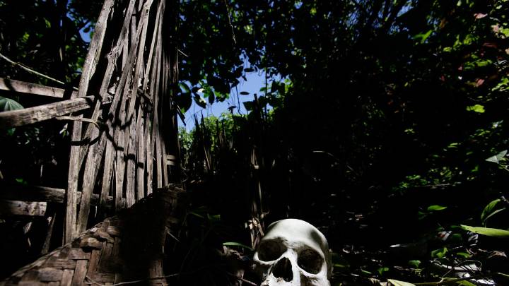 Ancient Skull May Rewrite The Timeline Of Human Evolution