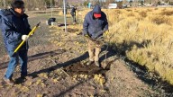 Piedra del Águila plantó árboles en el Portal de Ingreso