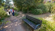 El PSOE culpa al Gobierno local del "mal estado" de los jardines de la calle Goleta de La Chana