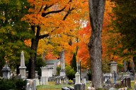 Where fall foliage will be best (and where it may be dull) in 2025