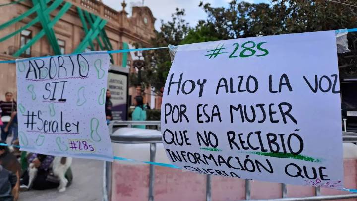 Persiste desinformación y falta de clínicas para aborto seguro: FMV