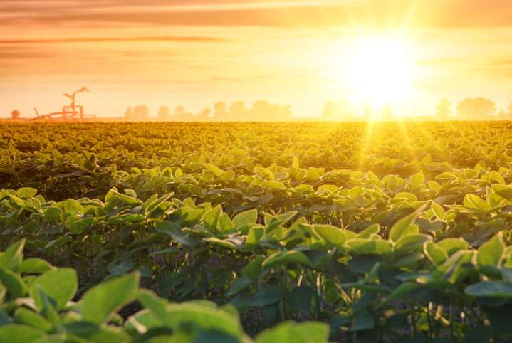Arkansas Gov. Sarah Huckabee Sanders announces multi-billion-dollar agreement with Taiwan for agricultural products