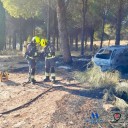 Un hombre evacuado al hospital tras arder un coche, lo que provocó un conato de incendio en Ronda