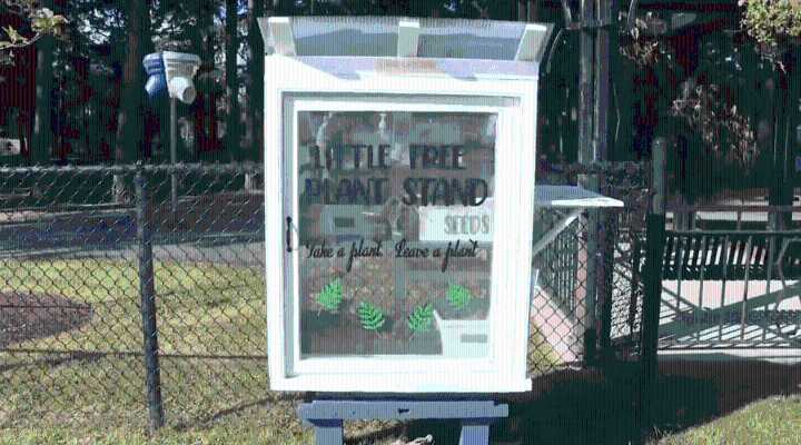Greater Victoria Placemaking Network calls for little free library stories ahead of festival