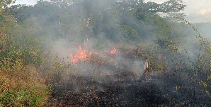 Incendio forestal arrasa 15 hectáreas de vegetación seca en zona rural de Fonseca