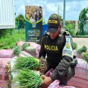 Más de 115.000 kilos de alimentos fueron incautados en Buenaventura, Ipiales y Riohacha