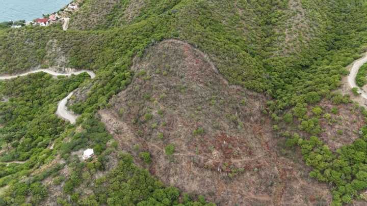 Dadsa activa Proceso Sancionatorio por tala ilegal en cerros de Inca Inca