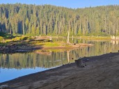 Get those Goose Lake cutthroat trout while you can