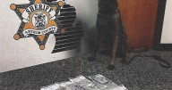 ANTRIM COUNTY: Arrest made after K