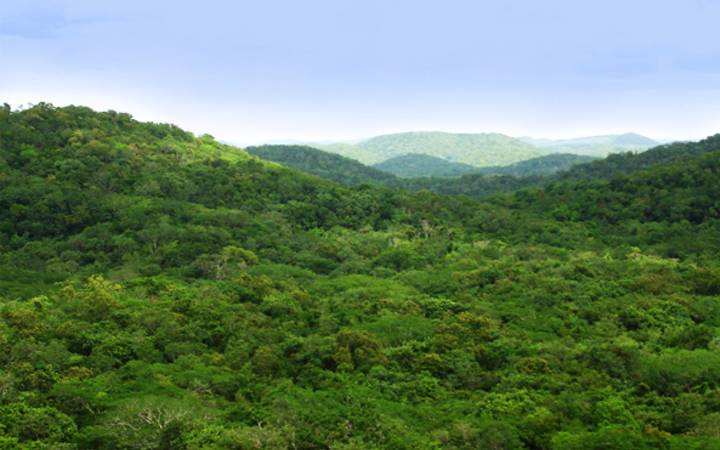 Semarnat y Greenpeace dialogan sobre conservación de la Selva Maya tras protesta