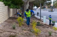 Las Vegas homeowners offered increased rebate to replace grass