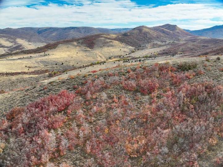 Summit Land Conservancy protects 2 new properties totaling 2,858 acres
