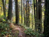 Portland’s warm Wednesday comes with plenty of sunshine, highs in mid 80s