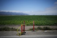Agentes federales intentan redada en una granja de Ventura