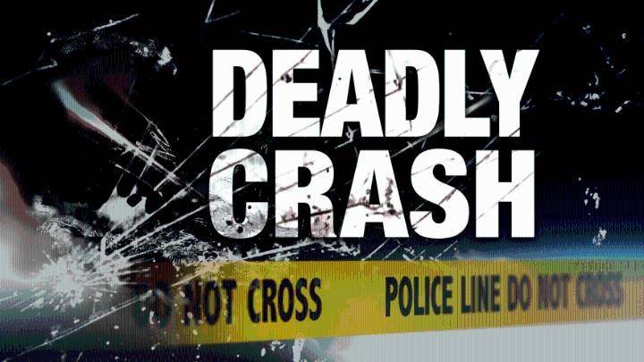 Two children killed in Pike Co. crash