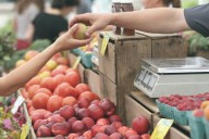 Best of Brooklyn: Top 5 Farmers Markets