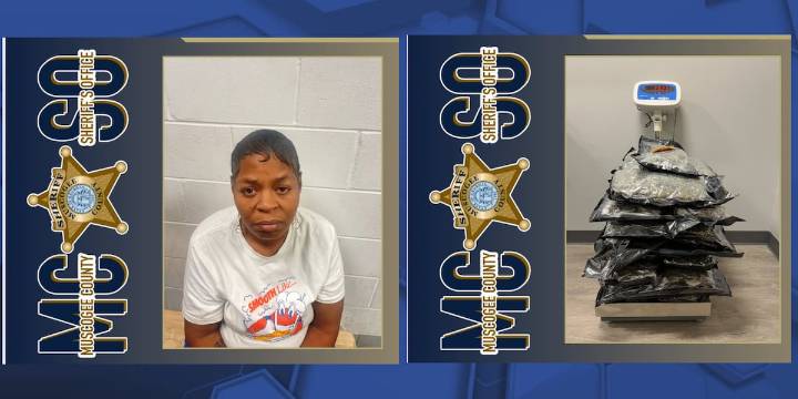 MCSO arrests suspect, seizes over $100K in Marijuana