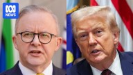 Donald Trump and his 'good man' Anthony Albanese share some common ground