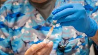 CDC advisory committee debates vaccine recommendations