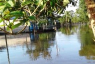 Roban en casas desalojadas por la crecida del Orinoco en Araguaimujo