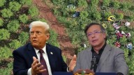 ¿Por qué pesó la negativa de la extradición de capos a EE. UU. en la decisión de descertificar a Colombia?