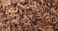 Americans are crazy for shrimp. Much of it came from India