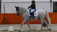 Team times released for European Para Dressage Championships