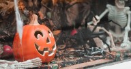Carbondale announces Halloween plans