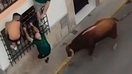 Así un toro embistió y mató a hombre durante fiesta patronal