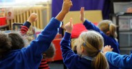 Falkirk staff praised as schools and nurseries get 'very good'  report card