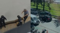 Moreno: ladrones disfrazados de policías robaron una financiera