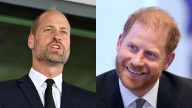 'A short drive': Prince Harry, William mere kilometres from each other but did not meet