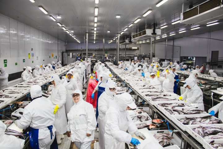 Durante septiembre rige la veda biológica de la merluza común