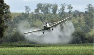 Mindefensa: Gobierno evalúa producto diferente a glifosato para fumigar cultivos ilícitos