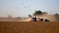 Vuelven las retenciones al campo: en solo 3 días se agotó el cupo de USD 7.000 millones con liquidación al 0 %