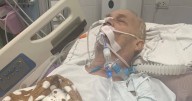 Brit dad fights for life in Thai hospital as family spend £500 a day on treatment