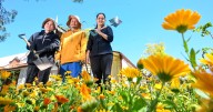Local migrants bloom through Tamworth TAFE horticulture course