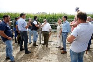 'Airosa', por 2.000 euros, marca el techo de la subasta de ganado tudanco y monchino del Gobierno cántabro