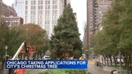 Chicago accepting nominations for official Christmas tree to light up Millennium Park