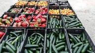 Banco de Alimentos de Culiacán contará con nueva sede para apoyar a 200 mil beneficiarios