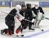 Jimmies women's hockey lose 5